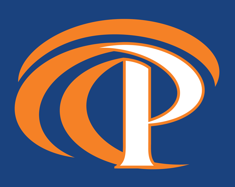 Pepperdine Waves 2011-Pres Alternate Logo v2 diy iron on heat transfer